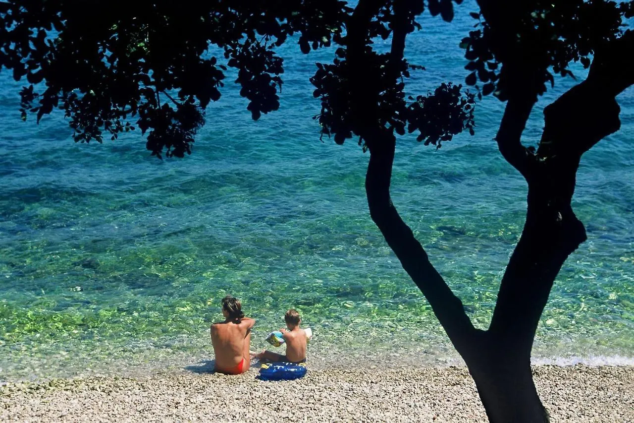 Apartment Vlado Porec Croatia