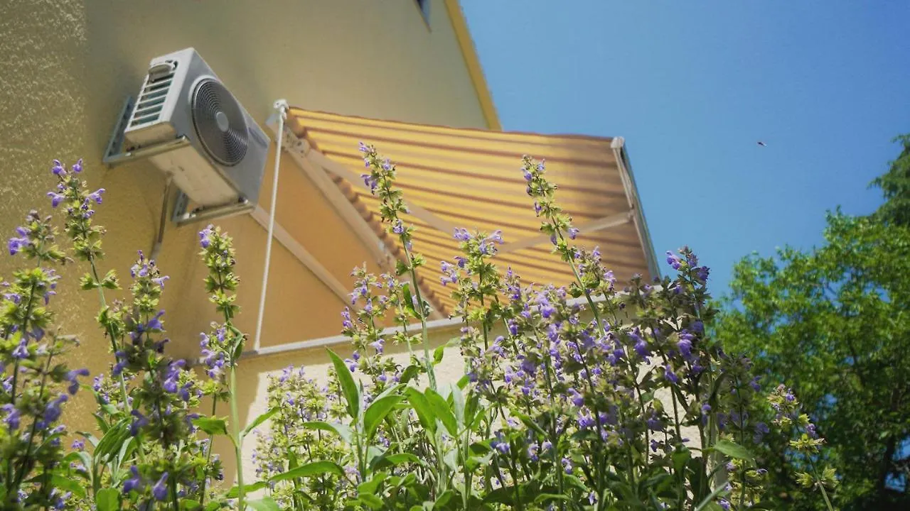 Apartment Vlado Porec